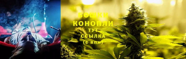 крисы Протвино