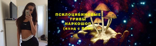 шишки Россошь