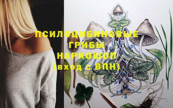 мескалин Ростов