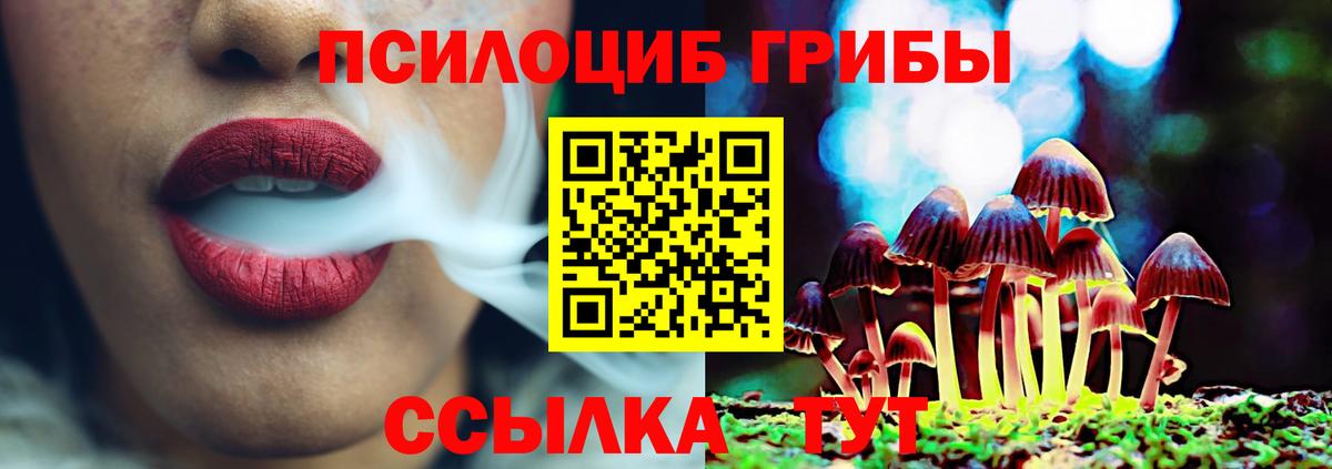 Ханты-Мансийск  Псилоцибиновые грибы Cubensis  Псилоцибиновые грибы мицелий  Вход с VPN 